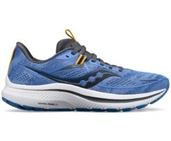 Saucony Women's Omni 21 (30 - Horizon/Shadow)